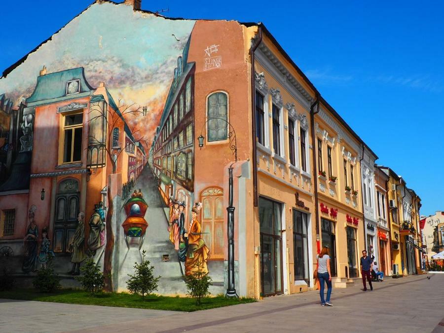 Hotel Casa David Craiova